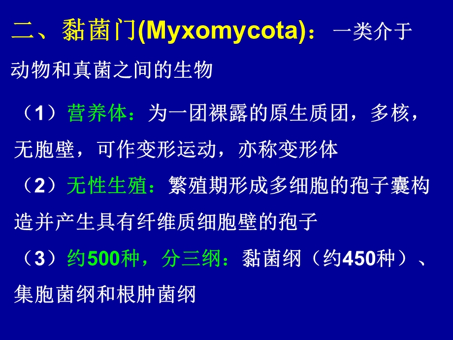植物界的基本类群黏菌、真菌、地衣.ppt_第3页