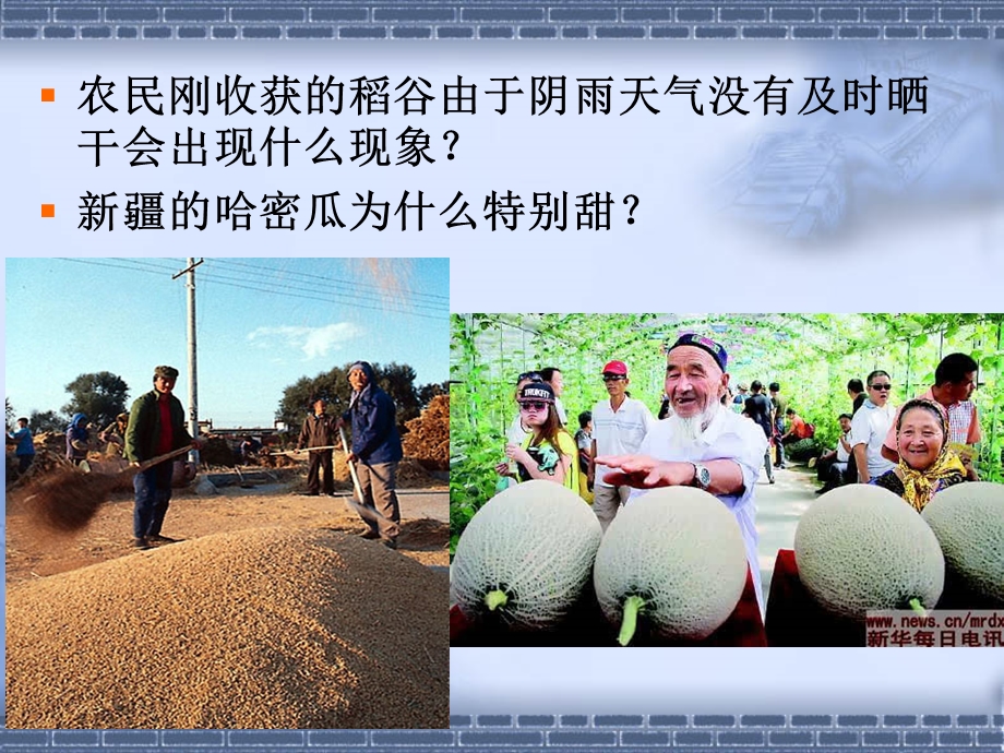 植物的呼吸作用分解.ppt_第2页