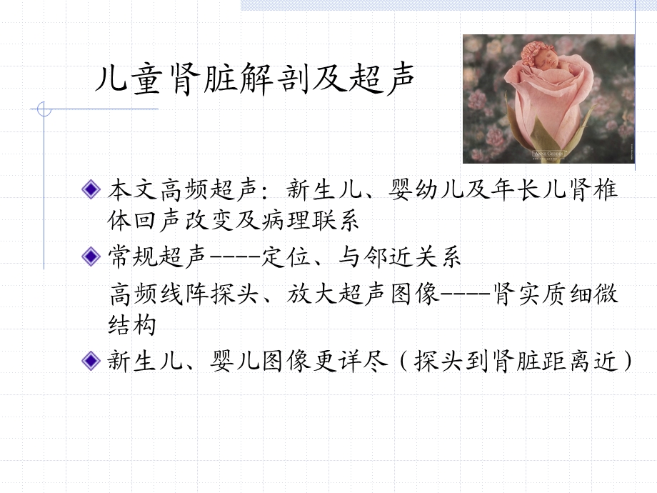 肾椎体正常及异常声像图.ppt_第3页