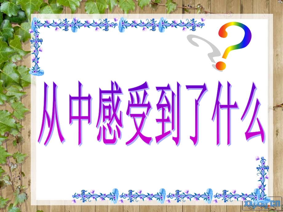 静心去聆听用心去感受.ppt_第2页