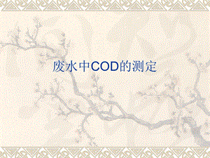 废水中COD的测定.ppt