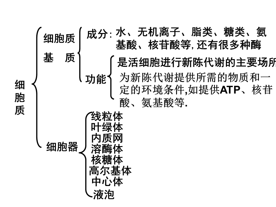 细胞器──系统内的分工合作.ppt_第2页