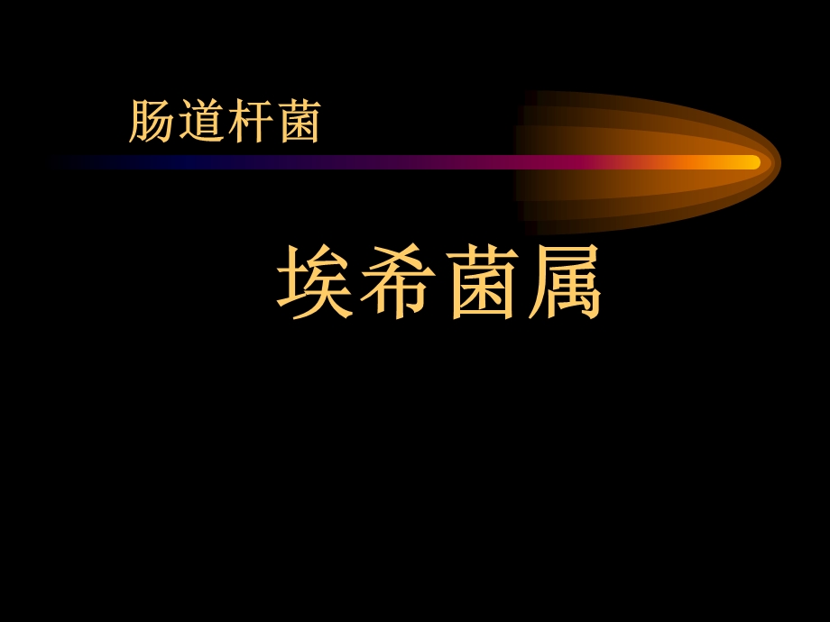 肠道杆菌.ppt_第1页