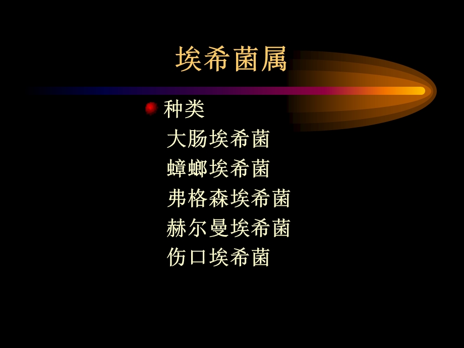 肠道杆菌.ppt_第2页