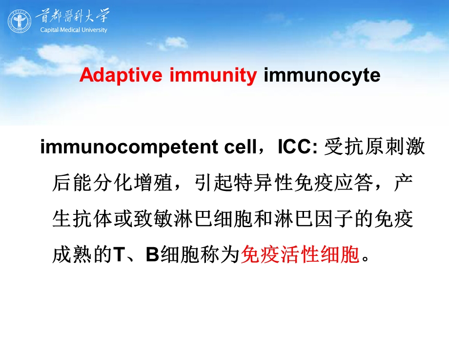 执行适应性免疫应答的细胞.ppt_第2页