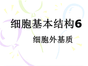 细胞基本结构6.ppt