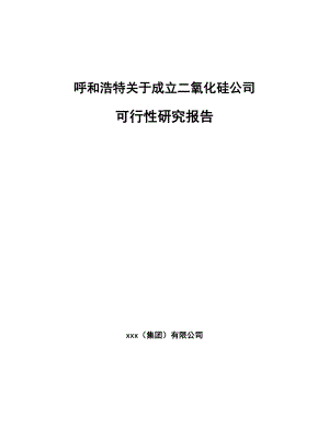 呼和浩特关于成立二氧化硅公司可行性研究报告.docx