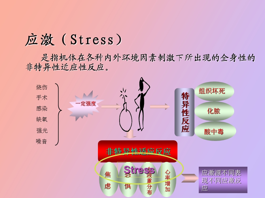 应激性消化道粘膜病变.ppt_第2页