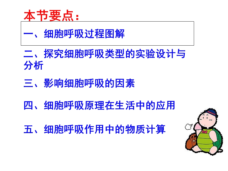 影响细胞呼吸作用的因素.ppt_第1页