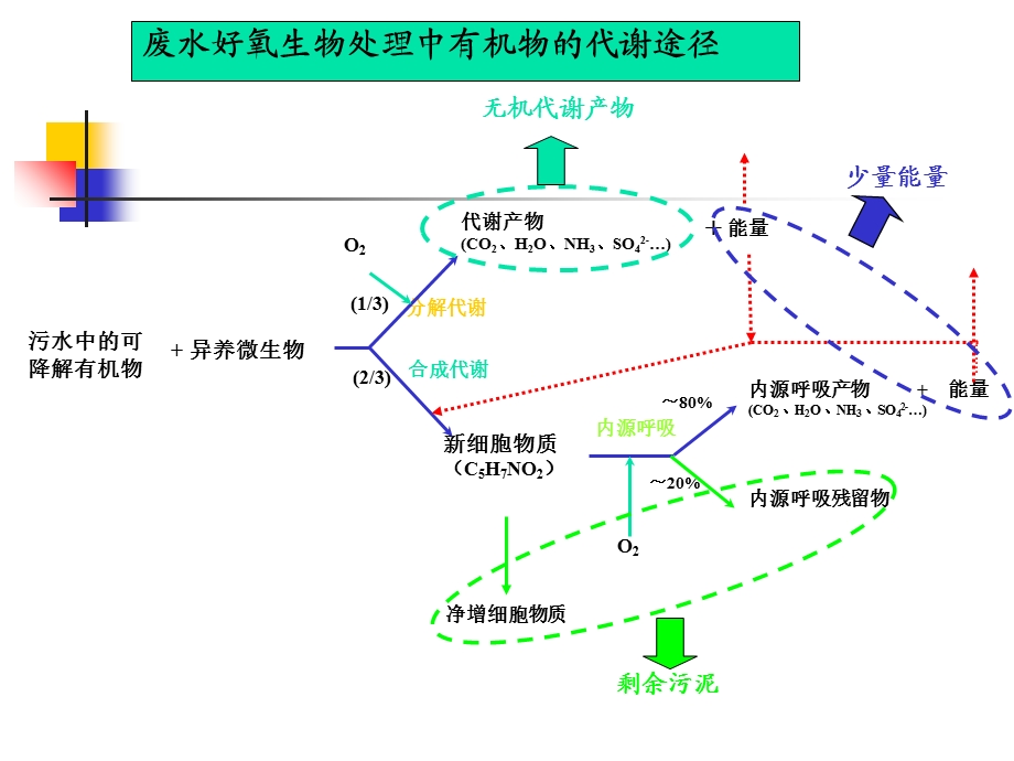 污水的好氧生物处理-活性污泥法.ppt_第2页