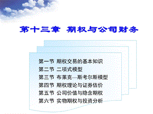 期权理论与公司财务.ppt