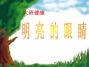 幼儿园大班健康：明亮的眼睛.ppt