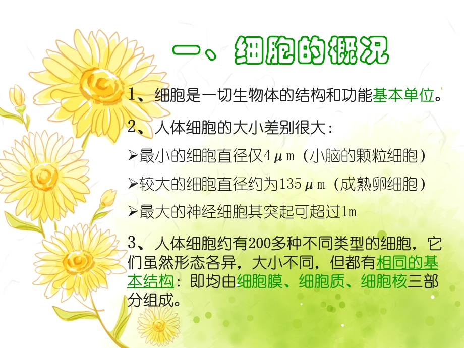 正常人体结构-细胞.ppt_第3页