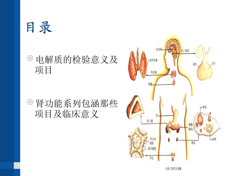 肾功能及电解质系列.ppt_第2页