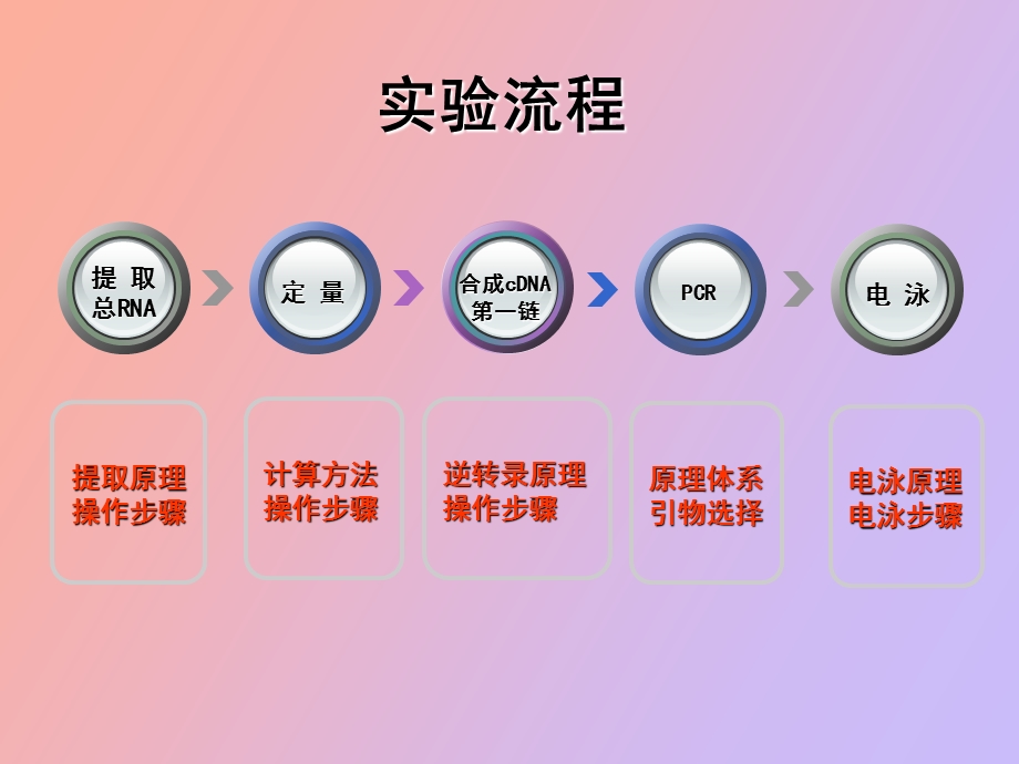 总RNA提取定量与RTPCR.ppt_第3页