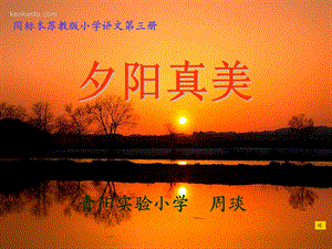 小学二年级上学期语文《夕阳真美》优质课课件.ppt