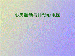 心房颤动与扑动心电.ppt