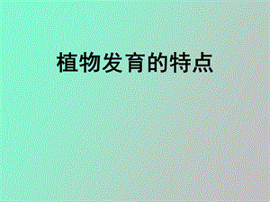 植物发育的特点.ppt