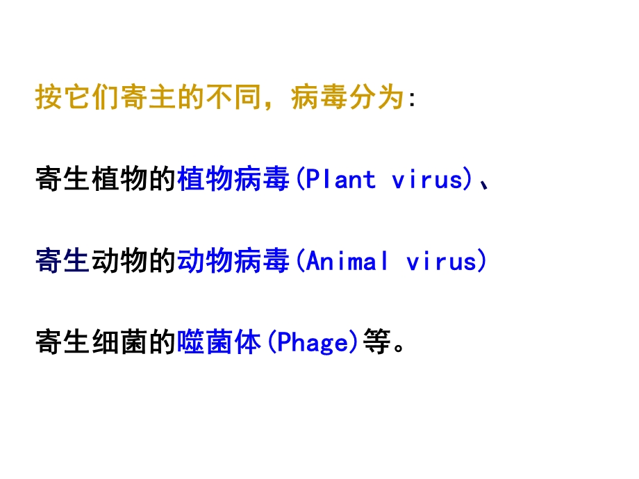 植物病毒的结构与功能.ppt_第3页