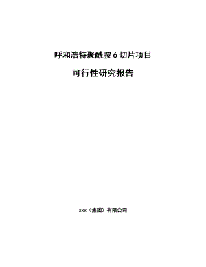 呼和浩特聚酰胺6切片项目可行性研究报告.docx