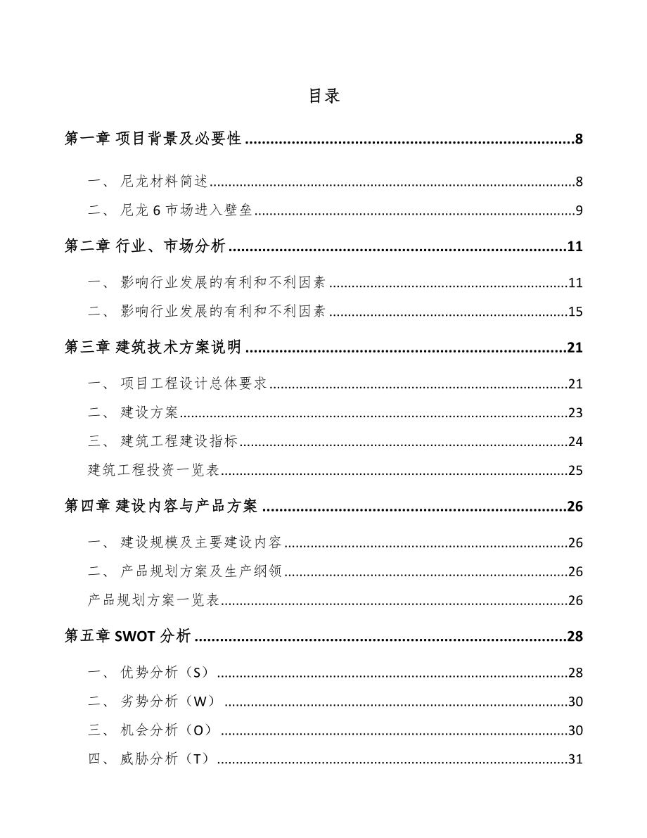 呼和浩特聚酰胺6切片项目可行性研究报告.docx_第2页