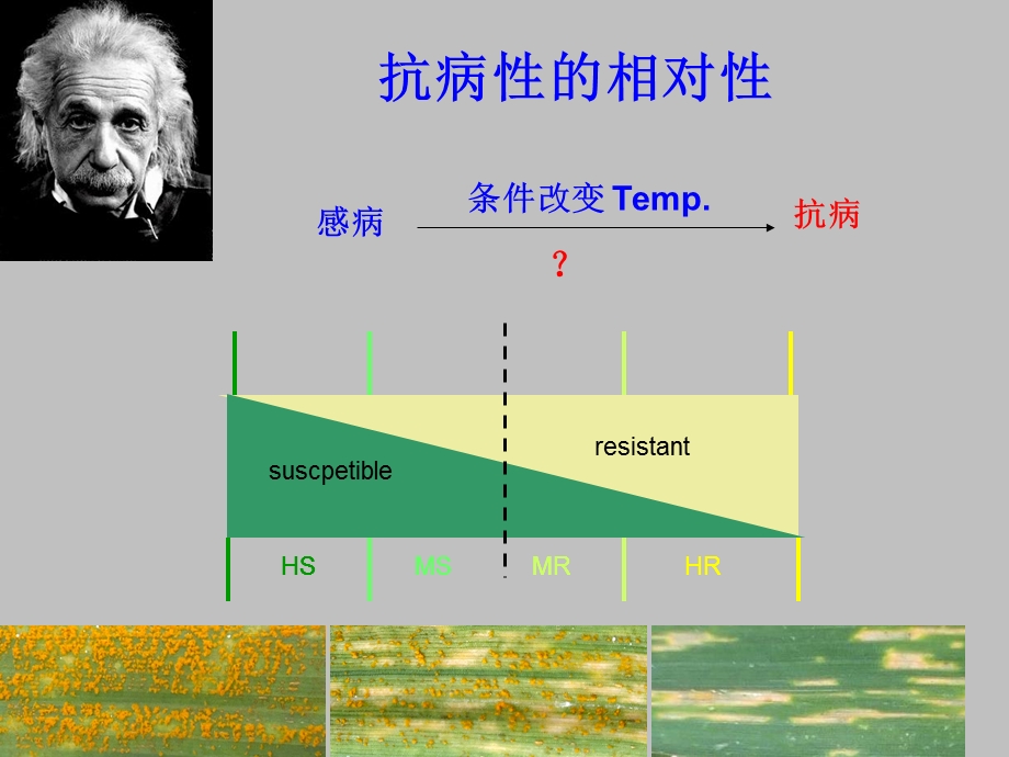 植物抗病性的概念和类别.ppt_第3页