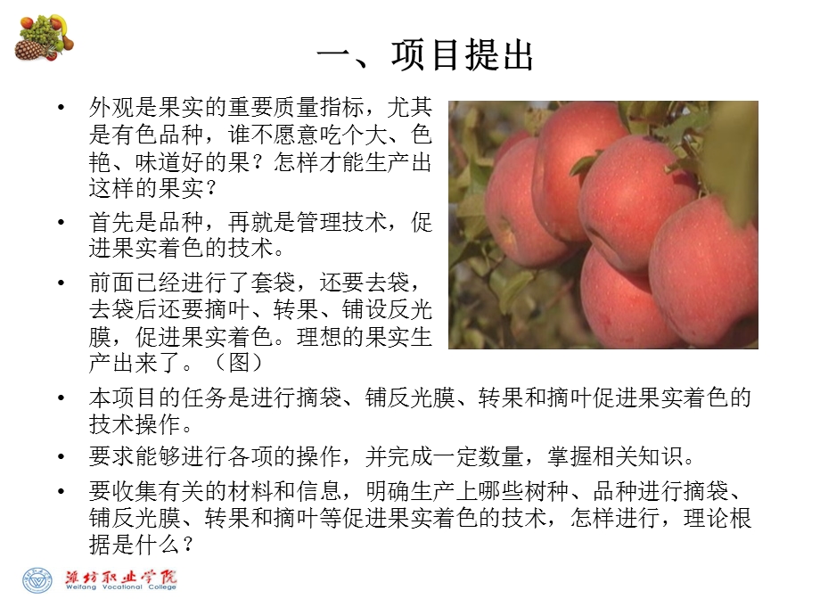 项目促进果实着色.ppt_第2页