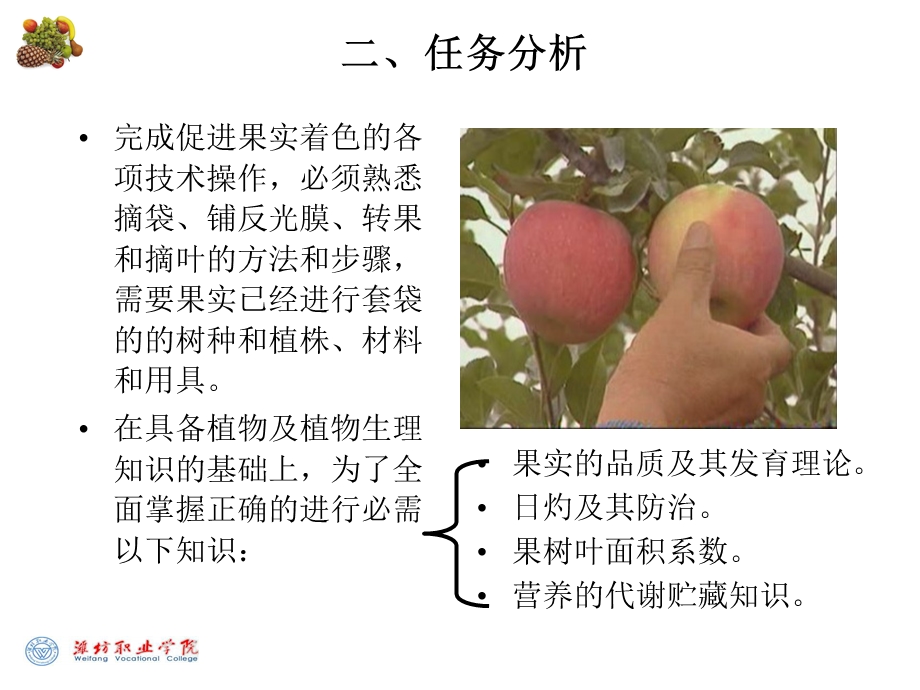 项目促进果实着色.ppt_第3页