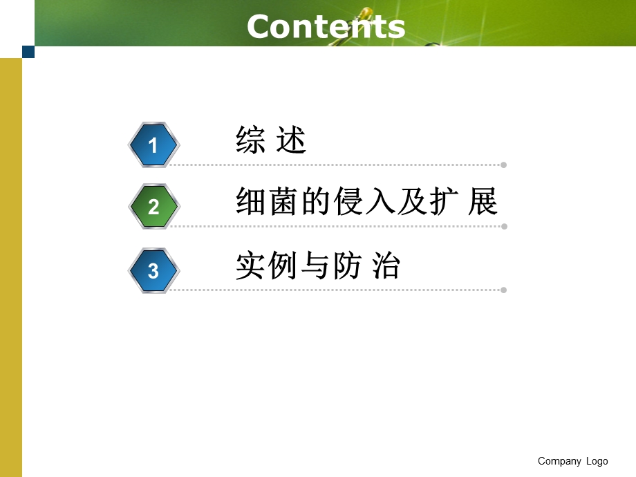 植物细菌性病害防治方法.ppt_第2页