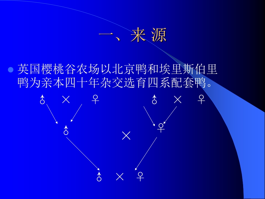 樱桃谷肉种鸭的饲养管理技术.ppt_第2页