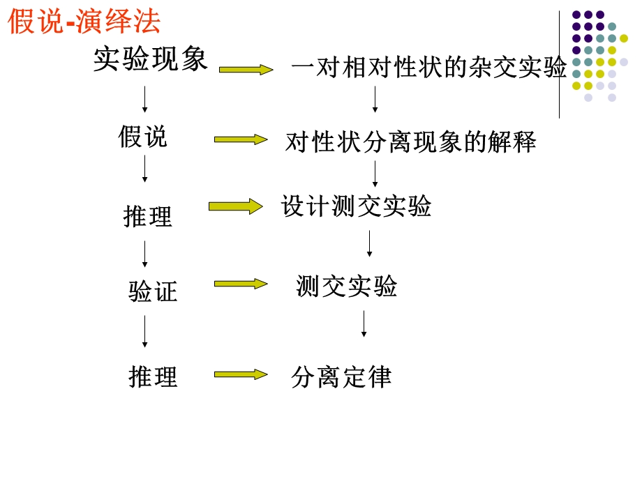 孟德尔的豌豆杂交实验.ppt_第2页