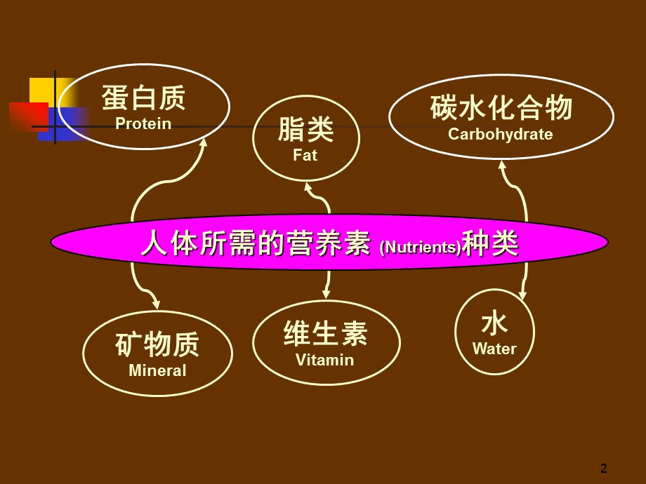 课件基础营养学基础营养学课件.ppt_第2页