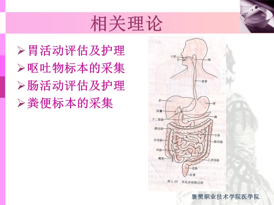 项目十六胃肠道护理技术课件.ppt_第3页