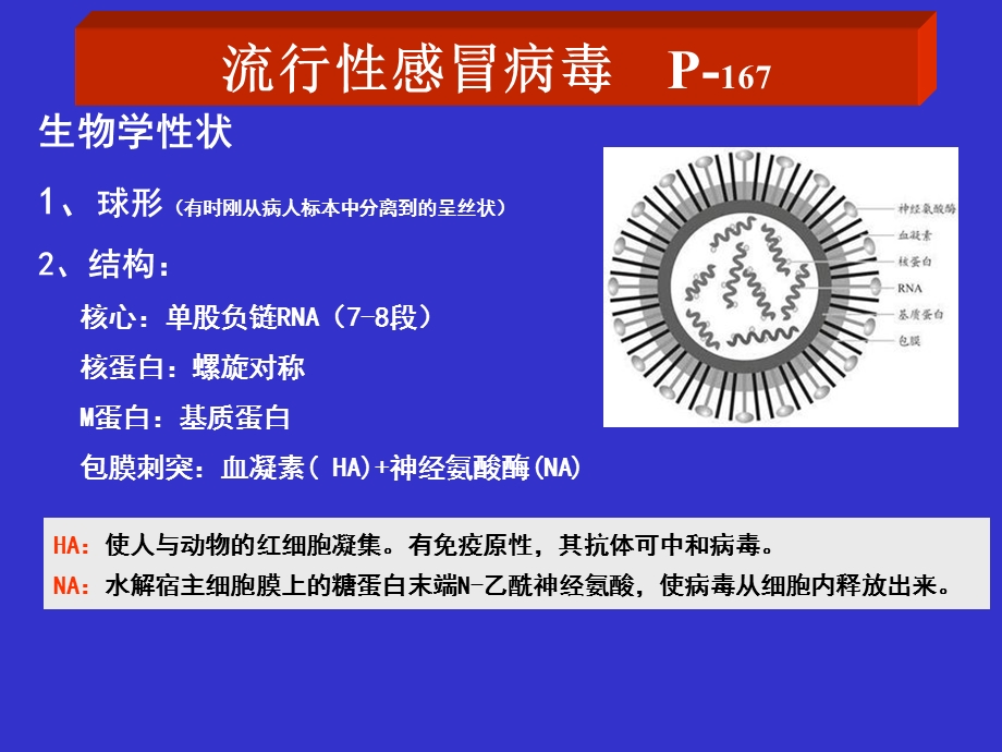 病毒各论预防.ppt_第1页