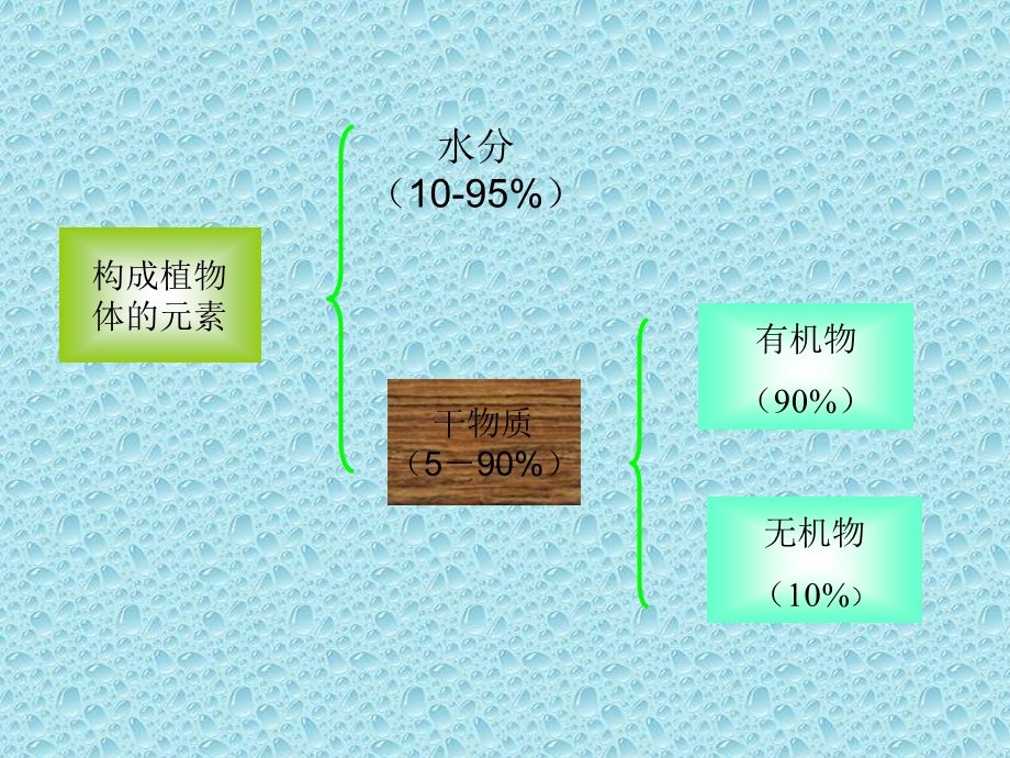 植物相对含水量的测定.ppt_第3页