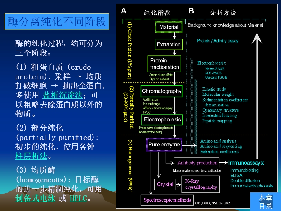 酶的分离与纯化注意事项.ppt_第3页