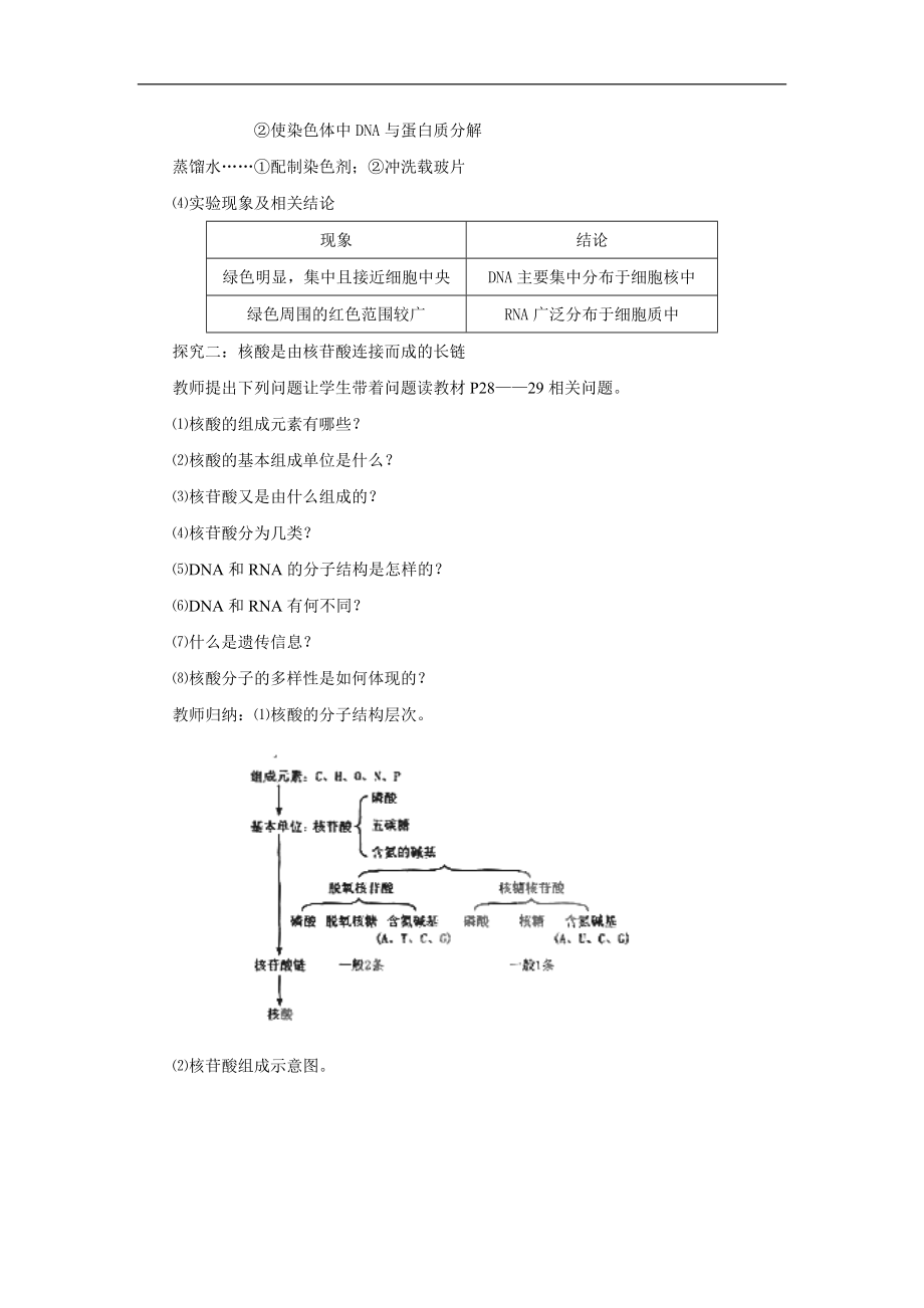 2.3遗传信息的携带者核酸教案.doc_第3页