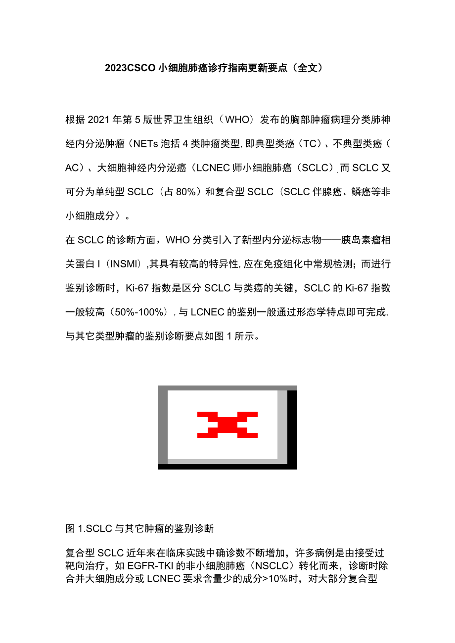 2023 CSCO小细胞肺癌诊疗指南更新要点（全文）.docx_第1页