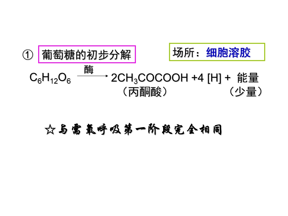 厌氧呼吸及影响因素.ppt_第3页