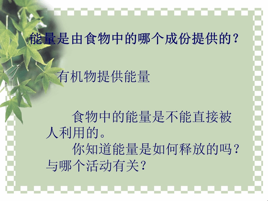 第6部分能量与呼吸.ppt_第3页