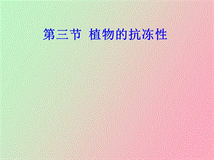 植物的抗冻性.ppt