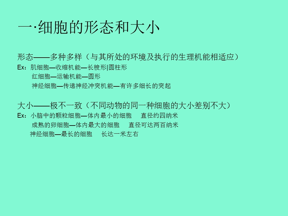 有机体的基本构造.ppt_第3页