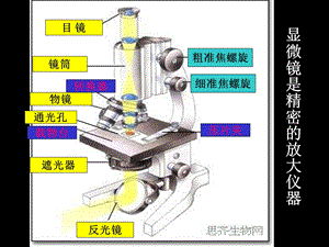 植物细胞和动物细胞的结构.ppt