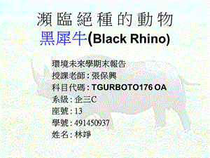 课件濒临绝种的动物黑犀牛BlackRhino.ppt