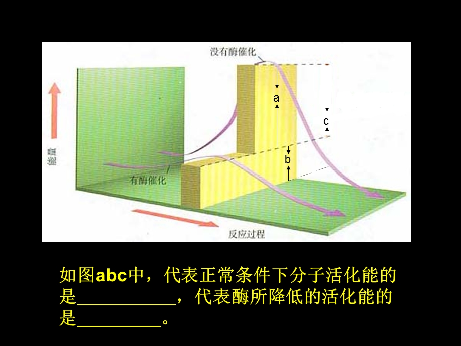 有关酶的探究实验.ppt_第1页