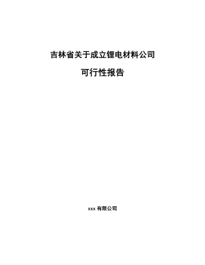 吉林省关于成立锂电材料公司可行性报告.docx