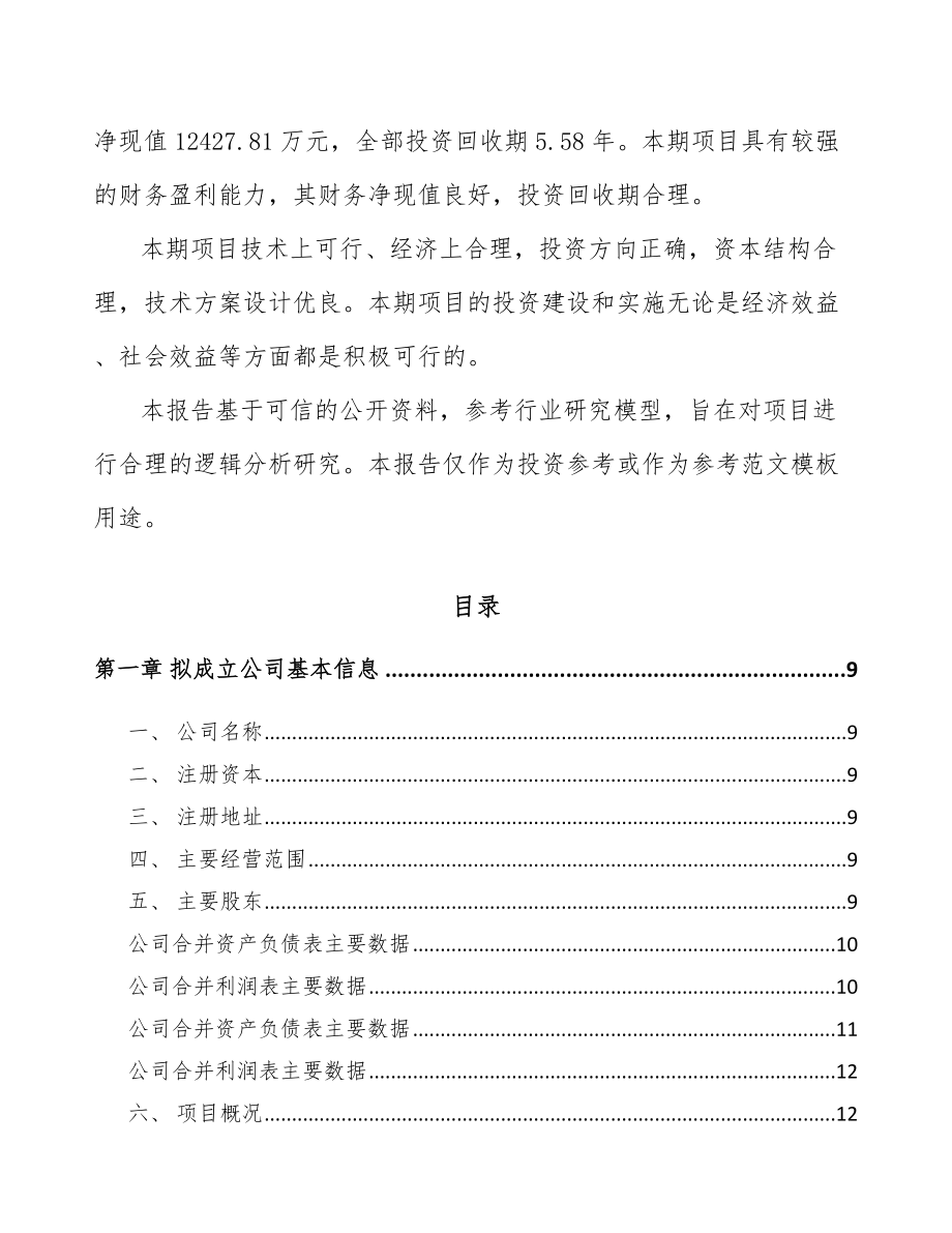 吉林省关于成立锂电材料公司可行性报告.docx_第3页