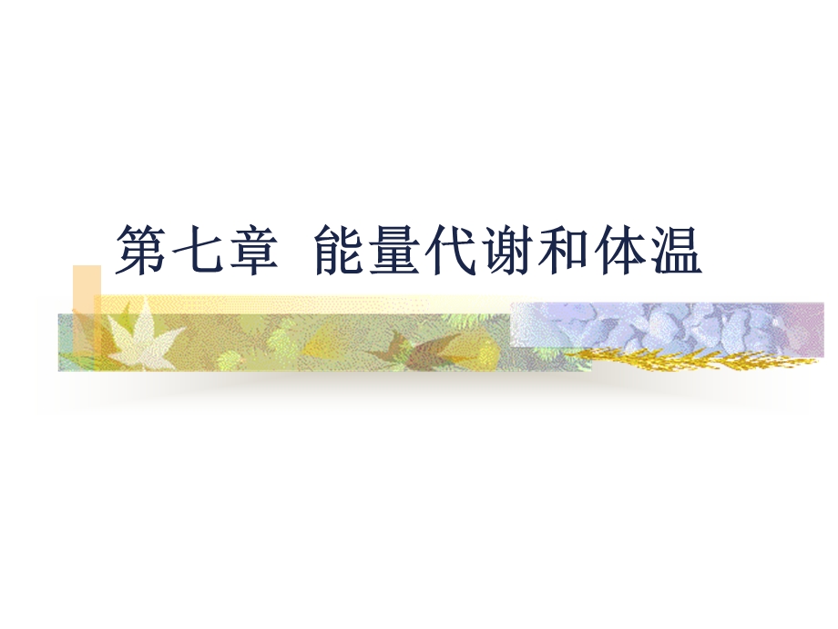 生理学第七章能量代谢和体温.ppt_第1页