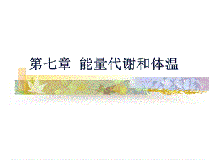 生理学第七章能量代谢和体温.ppt