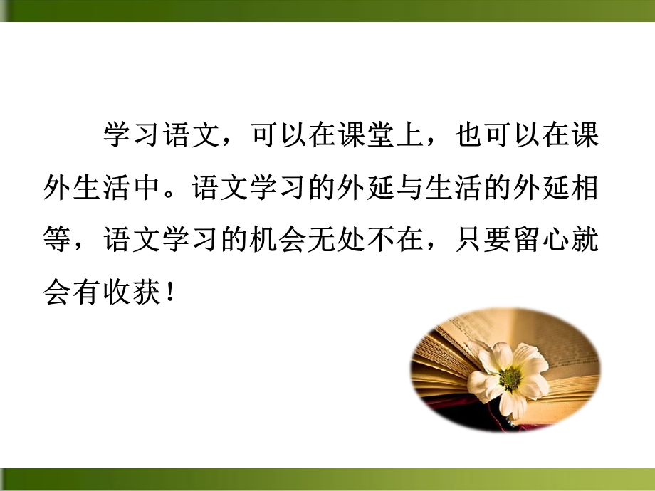 我的语文生活ppt优秀课件.ppt_第2页